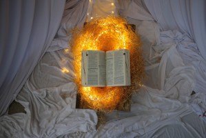 Presépio da Matriz 2025