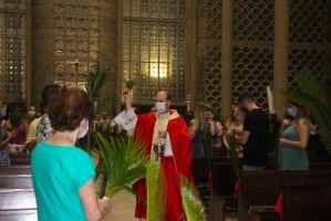 Domingo de Ramos