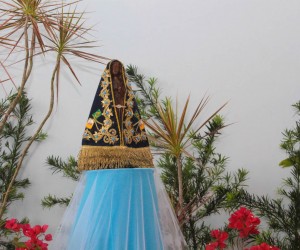 nsaparecida