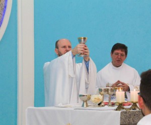 nsaparecida