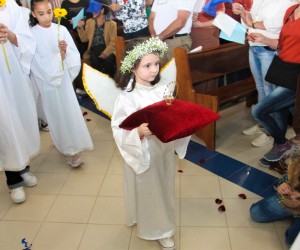 nsaparecida