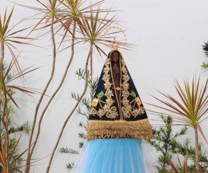 nsaparecida