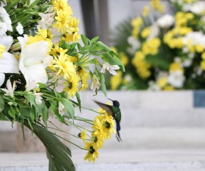 Missa com os festeiros