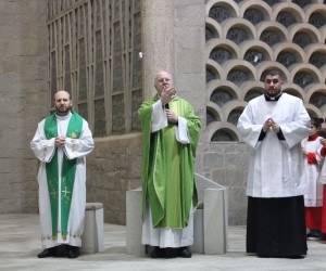 sao judas