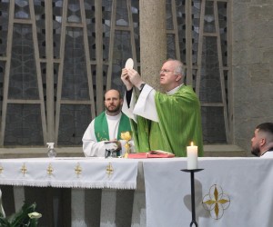 sao judas