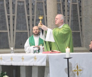 sao judas
