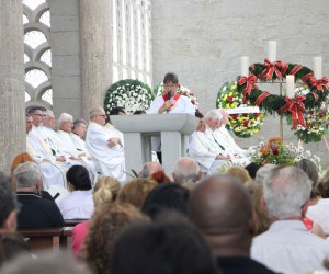 padre flavio