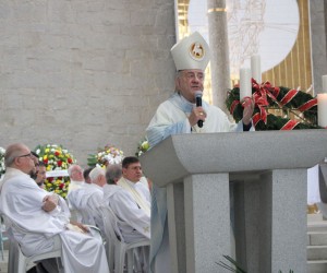 padre flavio