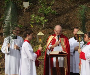Domingo de Ramos