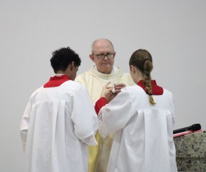 Festa São Francisco de Assis 2025