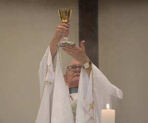 Festa Nossa Senhora de Lourdes 2026