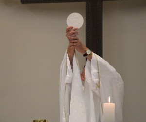 Festa Nossa Senhora de Lourdes 2026