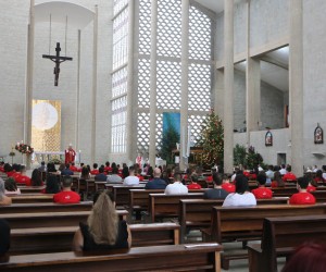 Conclusão da Crisma