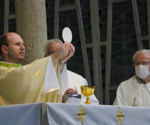 Semana de São José