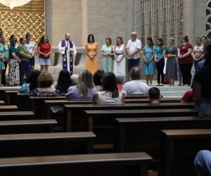 Professores