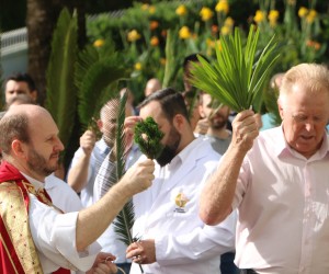 Domingo de Ramos