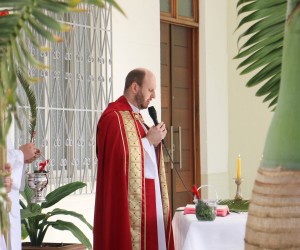 Domingo de Ramos