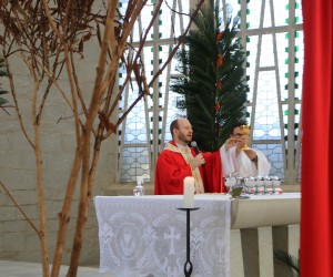 Domingo de Ramos
