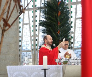 Domingo de Ramos